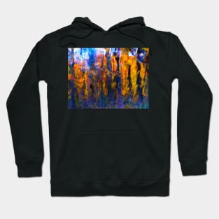 Rainy Day at Bliss Woods Hoodie